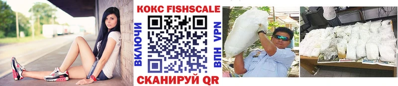 COCAIN Fish Scale Луга