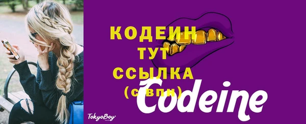 скорость Новодвинск