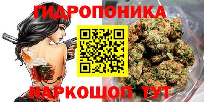 тгк Канаш