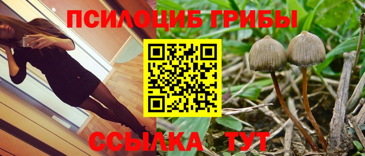 Галлюциногенные грибы Magic Shrooms  Псилоцибиновые грибы Psilocybe  Вход с VPN  Луга 