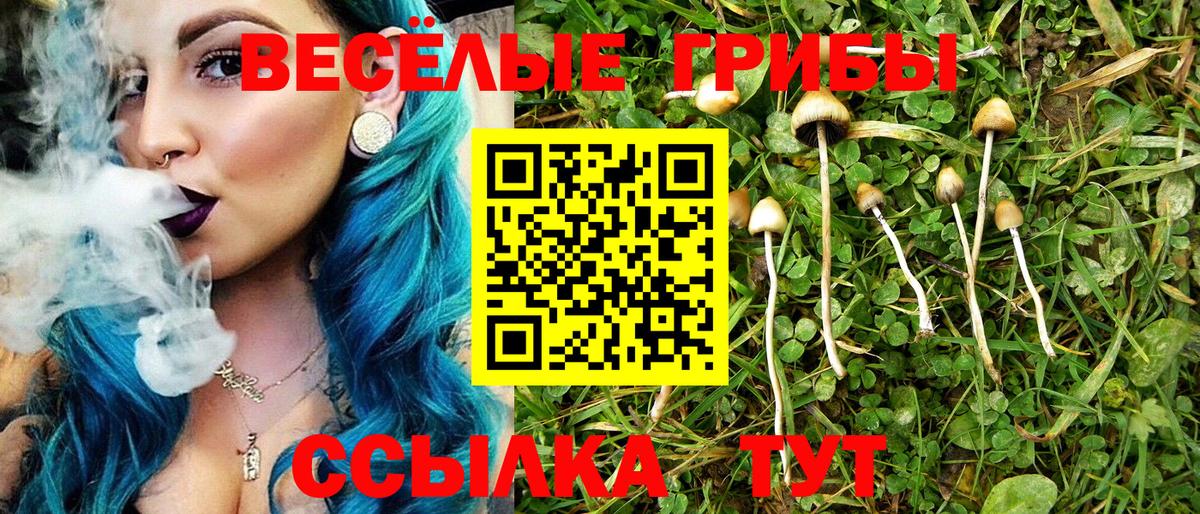 Галлюциногенные грибы прущие грибы Луга