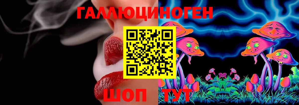 Галлюциногенные грибы Psilocybine cubensis Луга