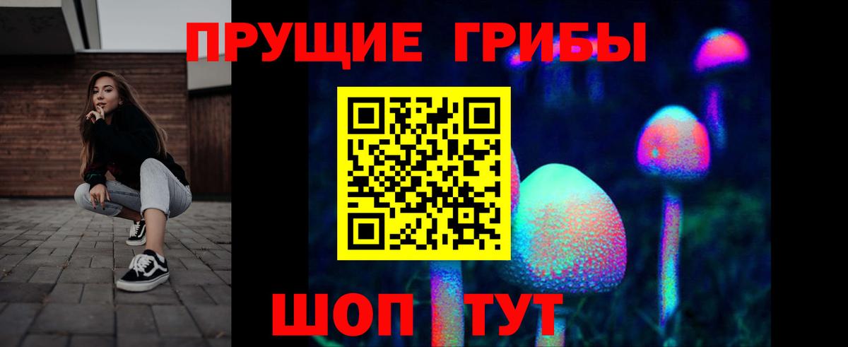 Псилоцибиновые грибы ЛСД  Галлюциногенные грибы MAGIC MUSHROOMS  Луга 